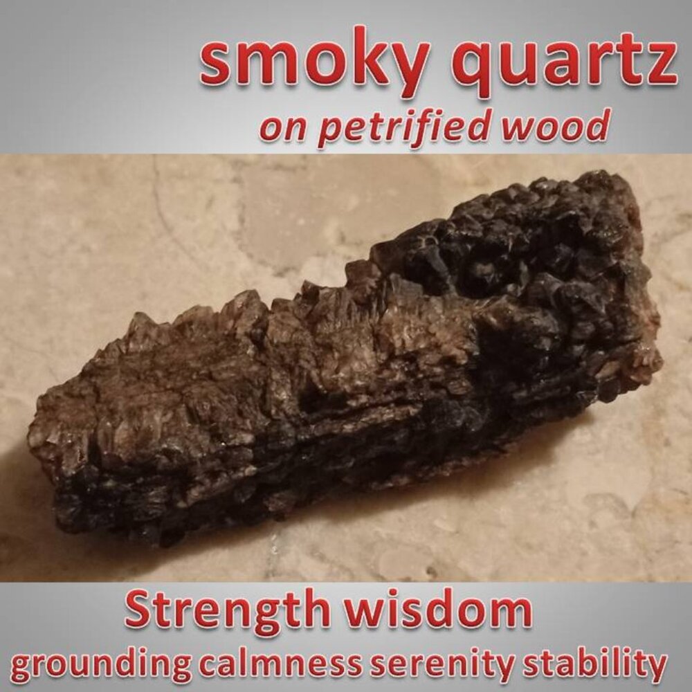 #1 petrified wood covered in smoky quartz stone rock fossil chunk